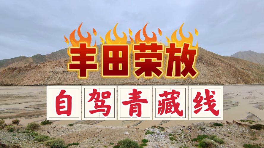 大豆行情网仙踪林2019手机在线不需要付费,网友:无任何限制 大豆行情网仙踪林2019手机在线不需要付费,网友:无任何限制