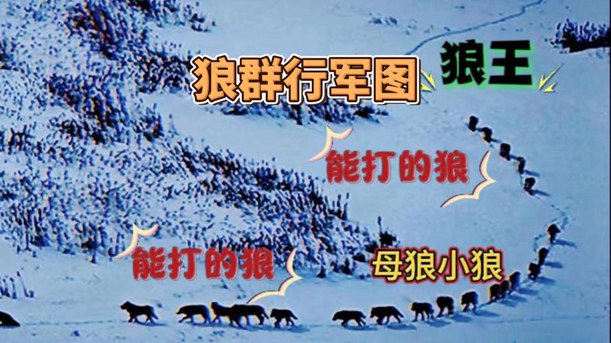 狼群社区在线观看免费完整版破解下载据说可以畅所欲言?网友:没有什么限制! 狼群社区在线观看免费完整版破解下载据说可以畅所欲言?网友:没有什么限制!