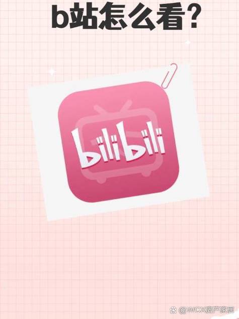 b站看全片 app下载最新版V2.9.6_b站看全片 app下载APP下载