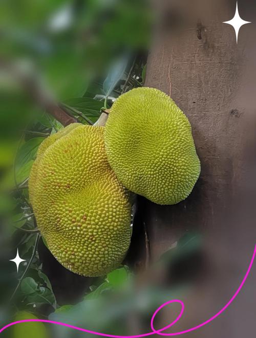 菠萝菠萝蜜Www永久开放,网友:不用纠结次数了 菠萝菠萝蜜Www永久开放,网友:不用纠结次数了