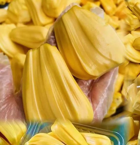 菠萝菠萝蜜Www永久开放,网友:不用纠结次数了 菠萝菠萝蜜Www永久开放,网友:不用纠结次数了