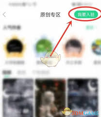壁纸多多平台的入驻指南：如何顺利成为平台的一员
