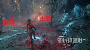 光与影33号远征队飞流域默偶位置详解—探索奇妙之地的秘密所在