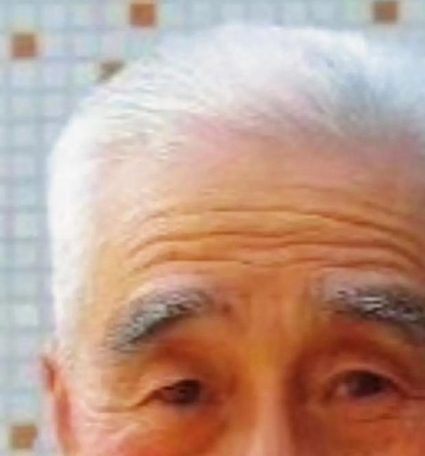 中国老头oldday tv提供多样资源，网友：每日看不完