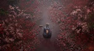 关于寂静岭F狐狸沾湿其尾的结局达成方法，攻略为您详尽解析