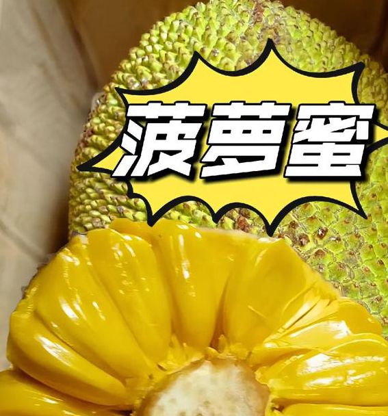 菠萝菠萝蜜视频高清免费版黑科技资源方便选择，网友：操作很简单