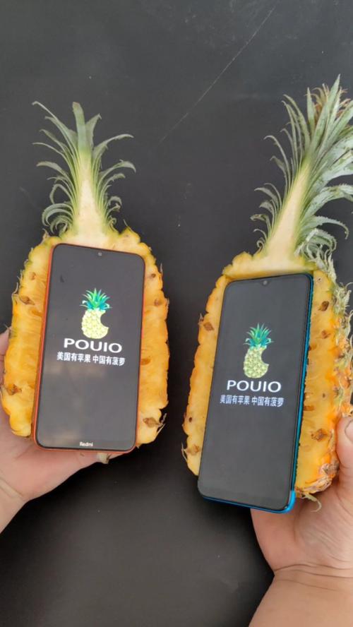 菠萝清纯免费高清APP被众多斗鱼主播推荐,水友:真香! 菠萝清纯免费高清APP被众多斗鱼主播推荐,水友:真香!