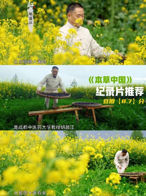 本草中国免费观看完整版在线手机版V4.8.7_本草中国免费观看完整版在线安装下载