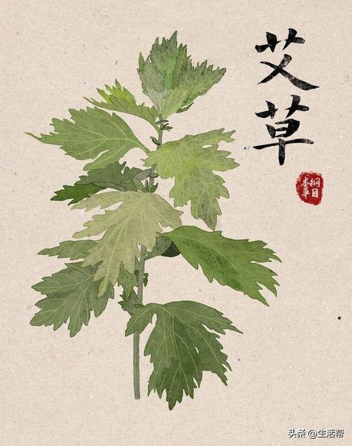 艾草无码视频在线观看手机版V8.7.4_艾草无码视频在线观看最新版下载 艾草无码视频在线观看手机版V8.7.4_艾草无码视频在线观看最新版下载