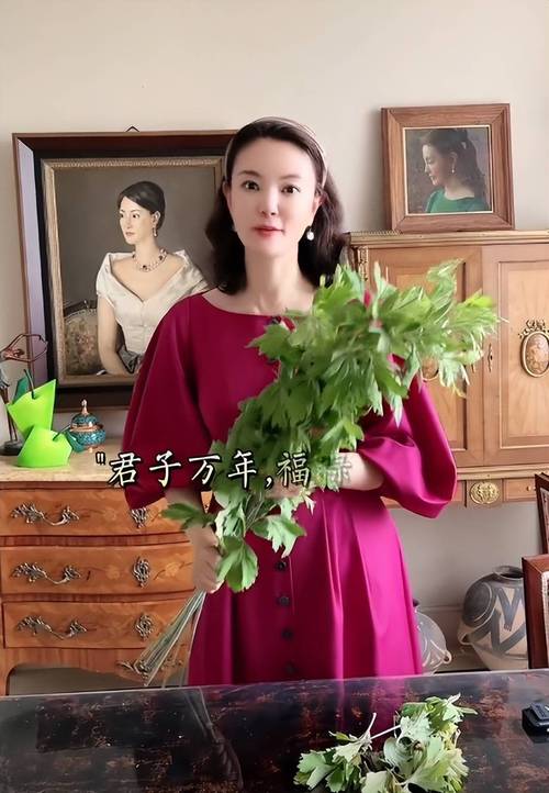 艾草无码视频在线观看手机版V8.7.4_艾草无码视频在线观看最新版下载 艾草无码视频在线观看手机版V8.7.4_艾草无码视频在线观看最新版下载