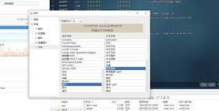 FinalShell如何调整字体大小-FinalShell设置字体的具体操作指南
