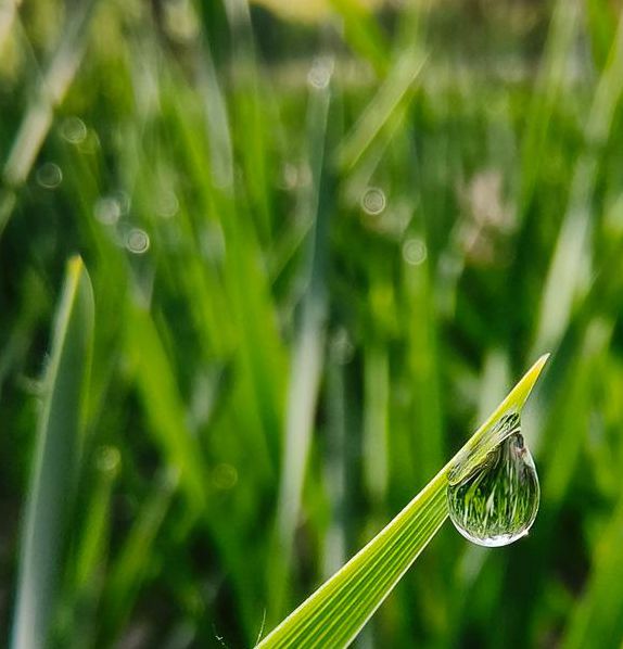 露水视频在线下载ios,聚集高颜值女主播的直播秀场