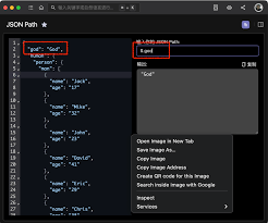 如何从json格式中提取数据——json数据抽取技巧详解