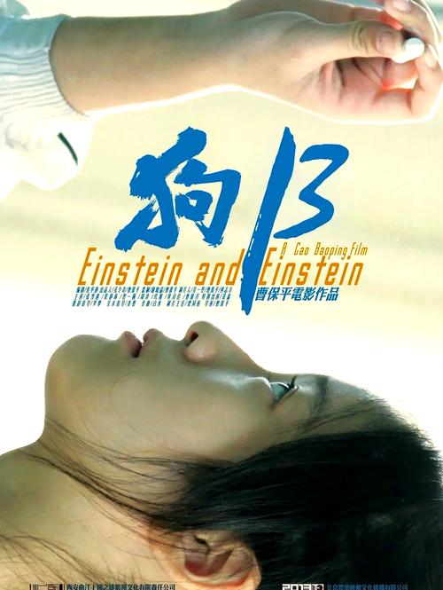 狗十三完整版手机在线观看软件V2.8.1_狗十三完整版手机在线观看安装