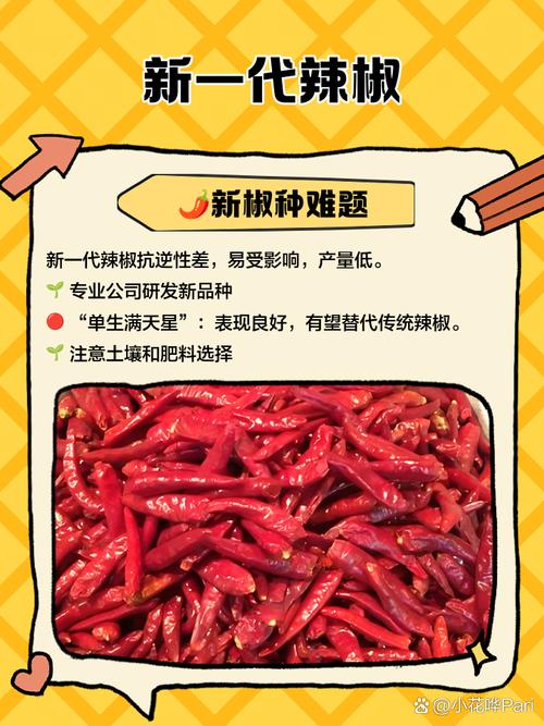 辣椒软件在线下载手机版V7.9.6_辣椒软件在线下载应用下载