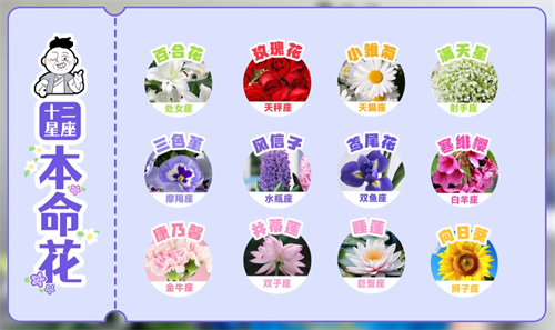 为了寻求推广渠道，竟然去找星座博主算命，《圣境之塔》却意外成为史上最惨的运营案例吗？