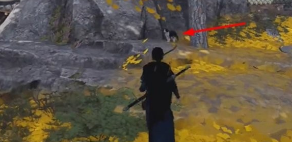 关于燕云十六声喵老大难任务的完成方法与攻略，本文将为您详细解读，帮助玩家高效顺利达成任务目标。

