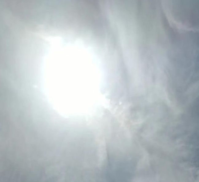 彩虹视频免费观看应用V5.2.4_彩虹视频免费观看APP