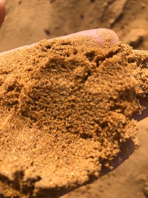 黄沙视频在线观看WWW免费下载手机版V1.6.5_黄沙视频在线观看WWW免费下载最新版下载 黄沙视频在线观看WWW免费下载手机版V1.6.5_黄沙视频在线观看WWW免费下载最新版下载