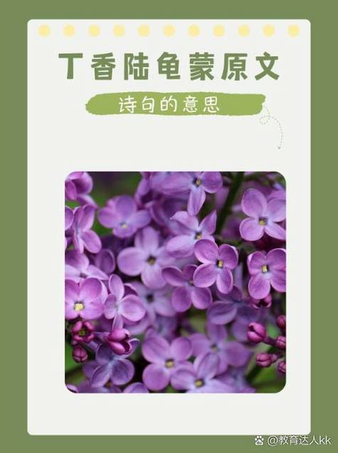 一区二区丁香国语版大量数据丢失，平台回应：服务器崩了