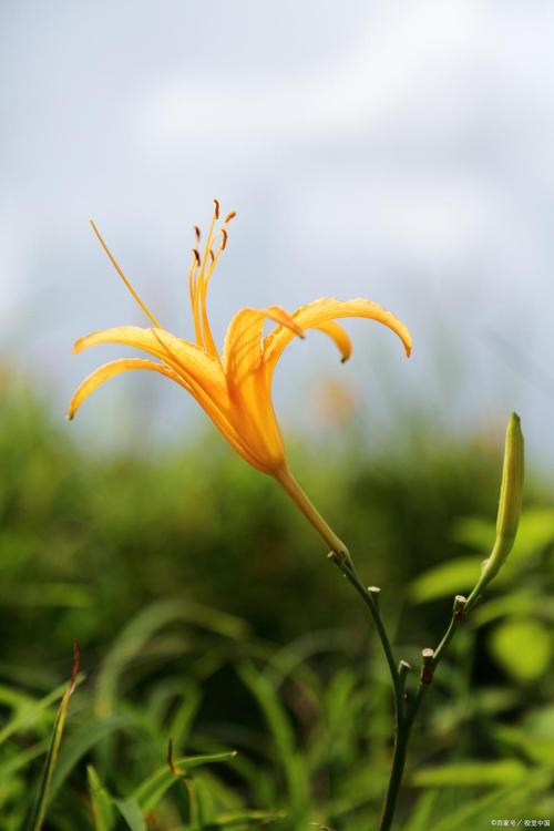 my1277.蜜芽忘忧草my手机版V5.8.5_my1277.蜜芽忘忧草my最新版 my1277.蜜芽忘忧草my手机版V5.8.5_my1277.蜜芽忘忧草my最新版