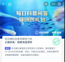 关于条石鲷幼鱼的生活习性有哪些?它们展现出哪些独特的行为特征?
关于条石鲷幼鱼的生活习性有哪些?它们展现出哪些独特的行为特征?