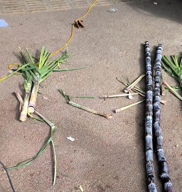 甘蔗视频软件下载,丰富的在线播放软件