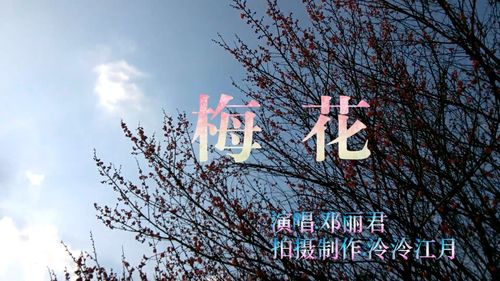 梅花app视频在线观看下载已经支持缓存功能，网友：这功能不错!