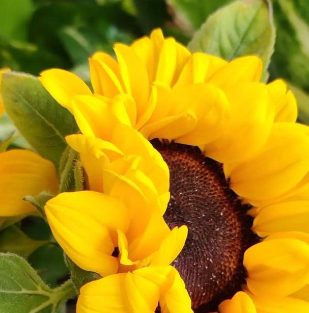 xrk1_3_0ark向日葵777免费使用,网友:真的是好消息 xrk1_3_0ark向日葵777免费使用,网友:真的是好消息