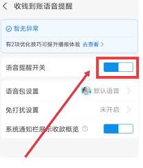 如何在支付宝中启用语音播报到账通知——详细步骤指南