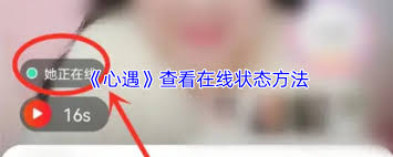 心遇如何实时查看好友在线状态—心遇平台如何判断对方是否在使用