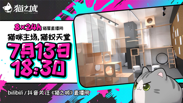 正义的象征莫过于猫咪！《猫之城》开启24小时沉浸式吸猫直播，带你全天候享受猫的魅力