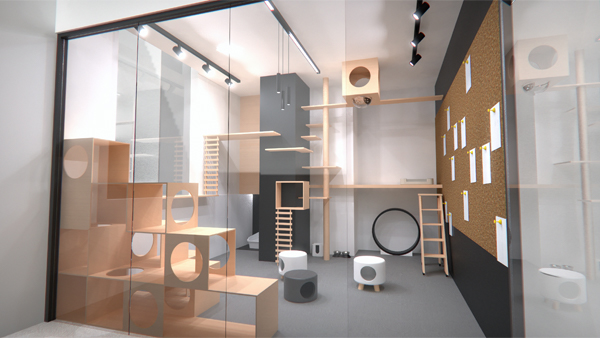 正义的象征莫过于猫咪！《猫之城》开启24小时沉浸式吸猫直播，带你全天候享受猫的魅力