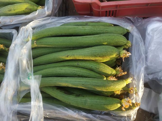 免费香蕉黄瓜丝瓜绿巨人樱桃大全备受大家喜爱，平台回应：感谢大家支持