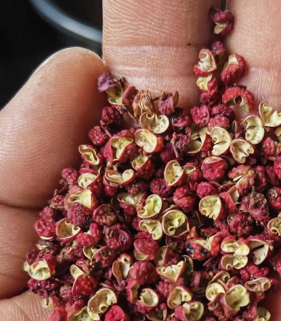 ljr55 花椒视频无限版手机版V2.1.6_ljr55 花椒视频无限版应用下载