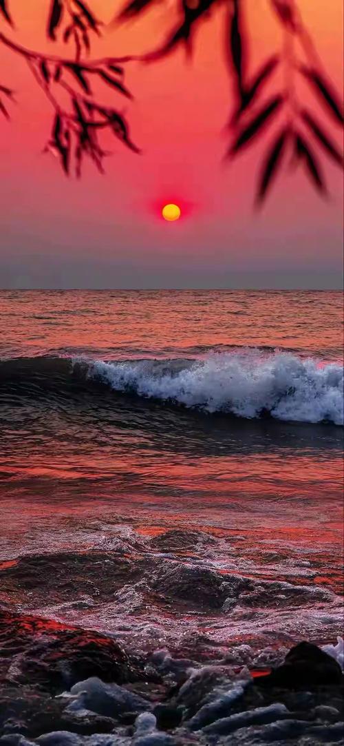 9420高清完整版新版本今晚上线，网友：期待