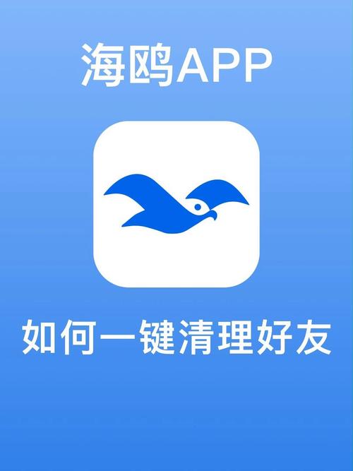 海鸥社交手机版,跨入手机交友行业