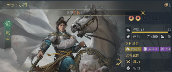 《九牧之野》中赵云的最佳阵容搭配方案解析