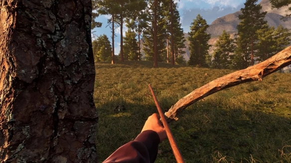 《西部人》是一款沙盒生存类型的游戏，旨在打造一个具有高度自由度的西部开放世界环境