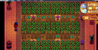 星露谷物语温室种植技巧详解——如何在游戏中充分利用温室进行农业生产