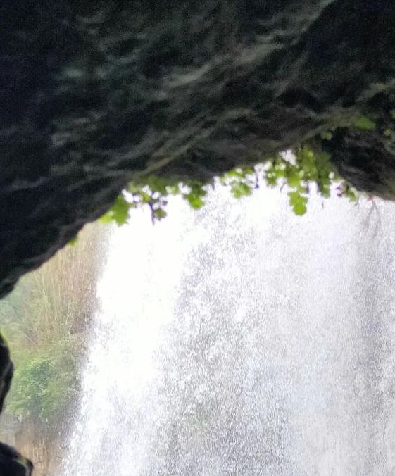 水帘洞官方版,功能强大的手机影视观看软件