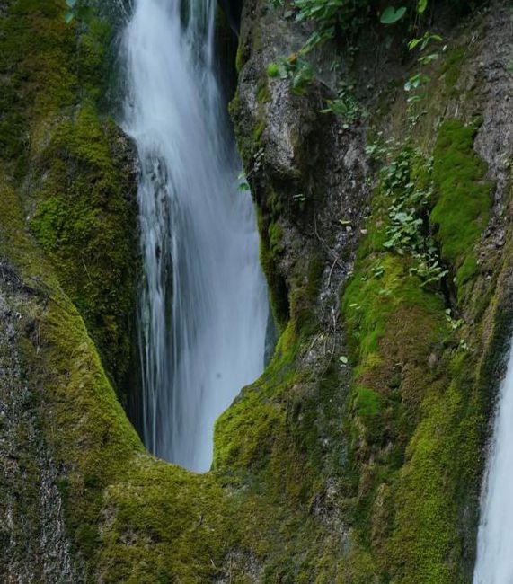 水帘洞官方版,功能强大的手机影视观看软件