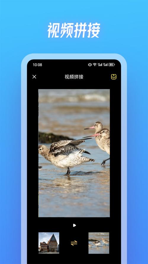 斑马app下载,专业的音乐播放平台