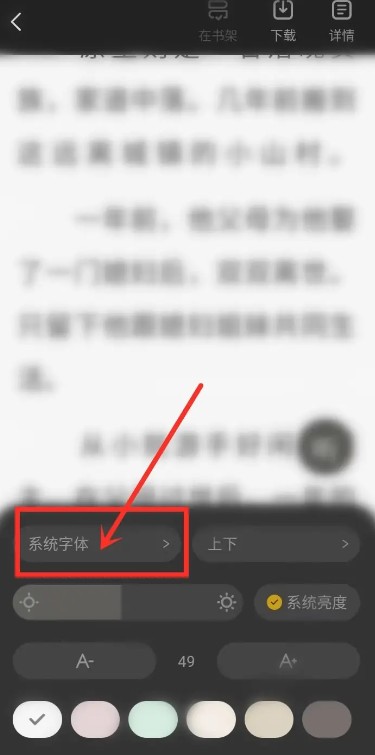 布袋鼠小说应用中设置字体的详细步骤