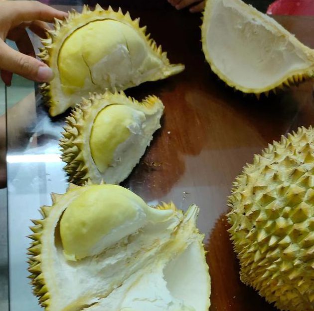 榴莲福引导大全999没有权限限制，网友：更新的视频资源已全部免费！