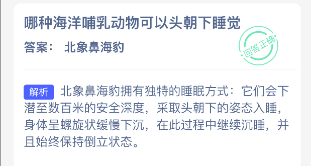 哪种海洋哺乳动物能够以头部朝下的姿势入睡？
