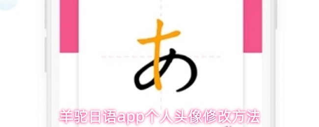 羊驼日语应用中如何更改个人头像的详细步骤