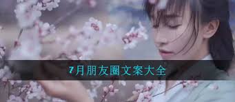 关于七月文案大全都包含哪些内容？-七月文案全面汇总及其涵盖的元素