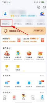 如何在中国移动官方应用中查询您的充值明细？-中国移动应用程序如何查找充值记录