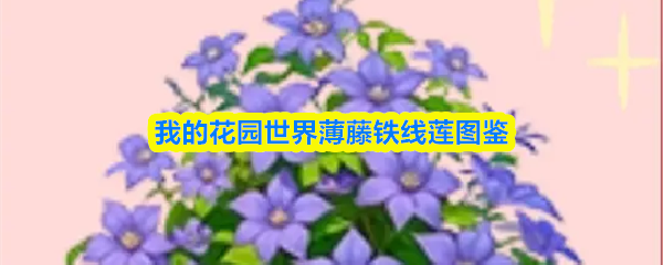 我的花园世界薄藤铁线莲图鉴 我的花园世界薄藤铁线莲图鉴